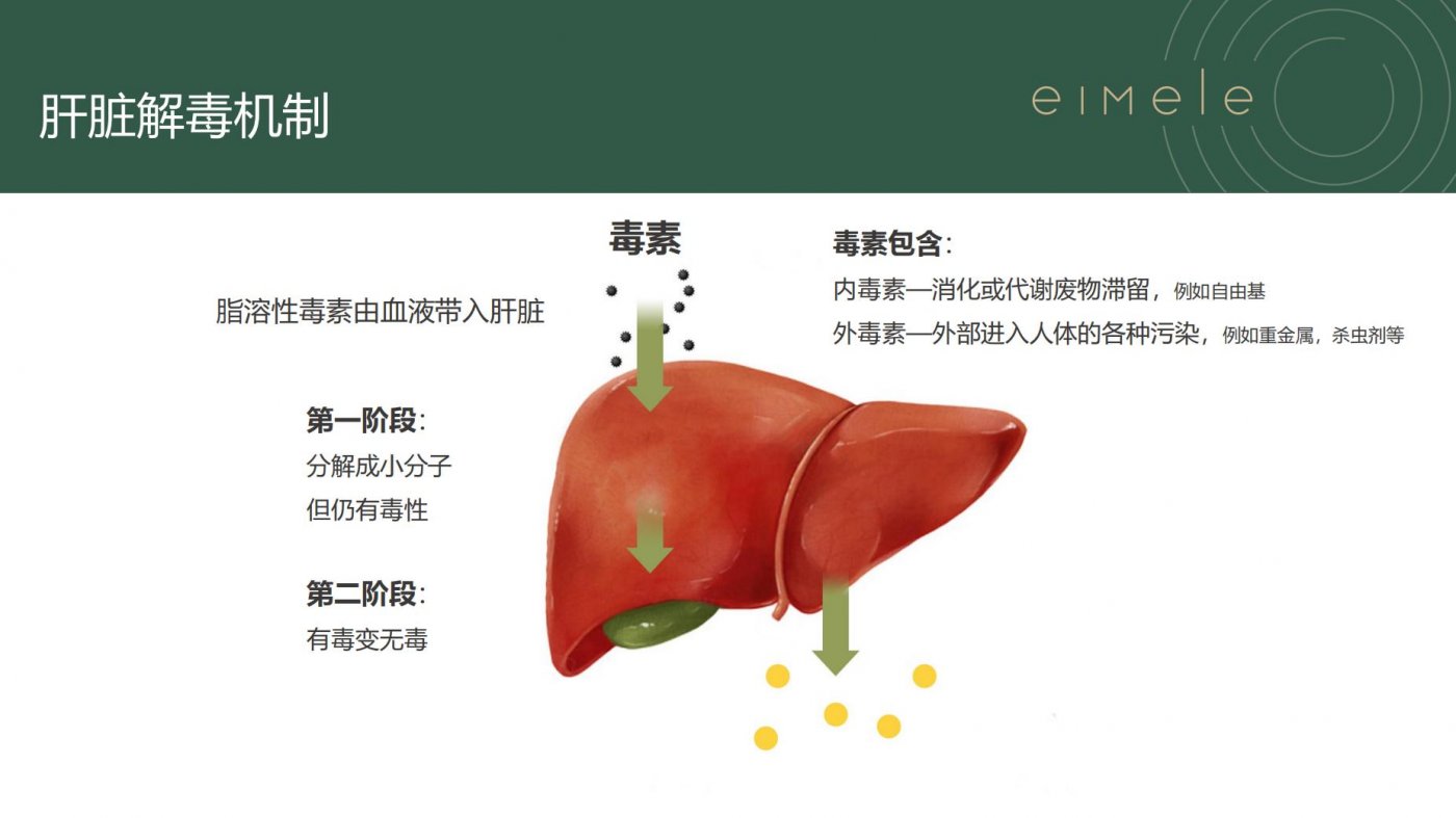 亦餐SHINE GREENS的科学验证结果