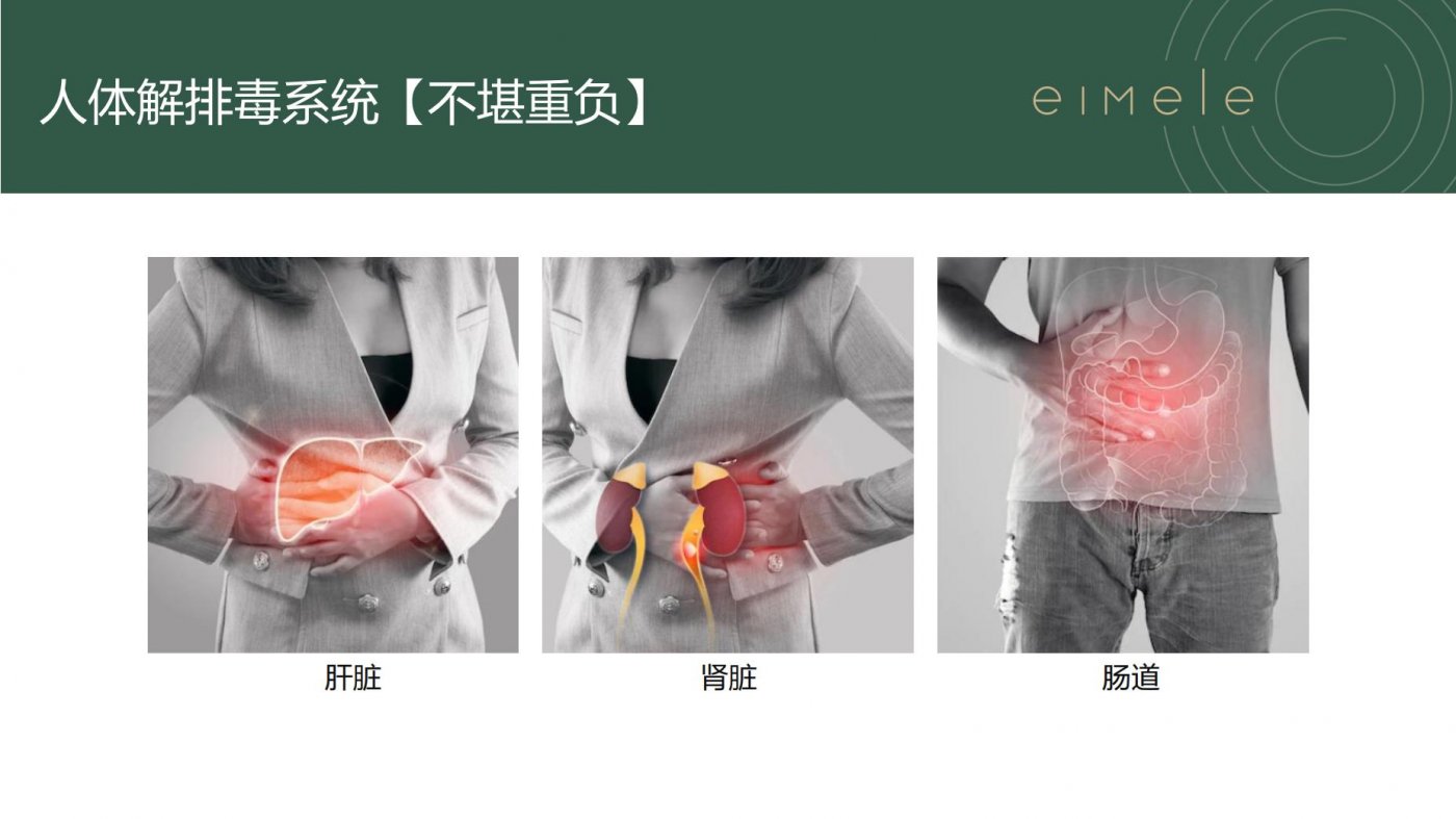 有没有提供必需氨基酸和抗氧化剂的身体排毒产品？-亦餐超级绿粉