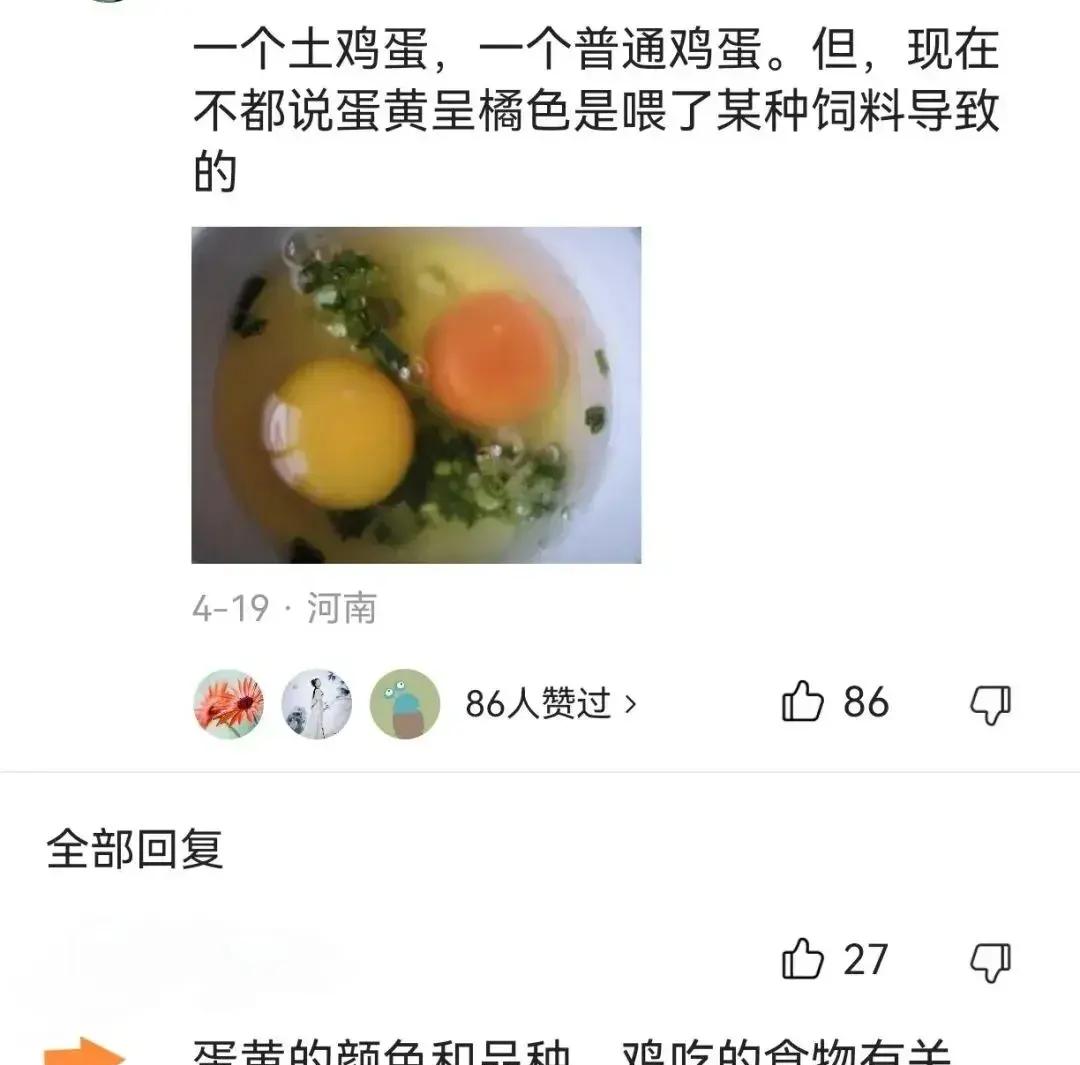 搞不懂！鸡蛋不管贵还是便宜，营养价值都差不多，为啥还有人总想买土鸡蛋？