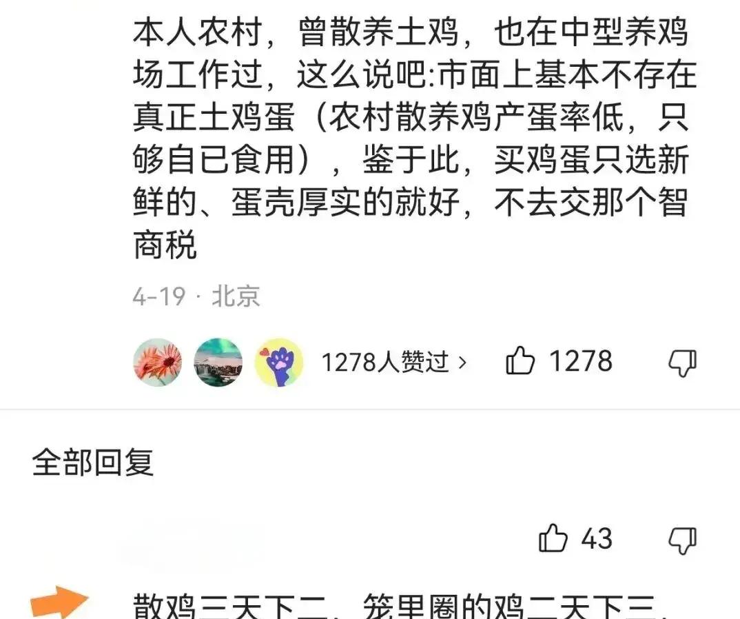 搞不懂！鸡蛋不管贵还是便宜，营养价值都差不多，为啥还有人总想买土鸡蛋？