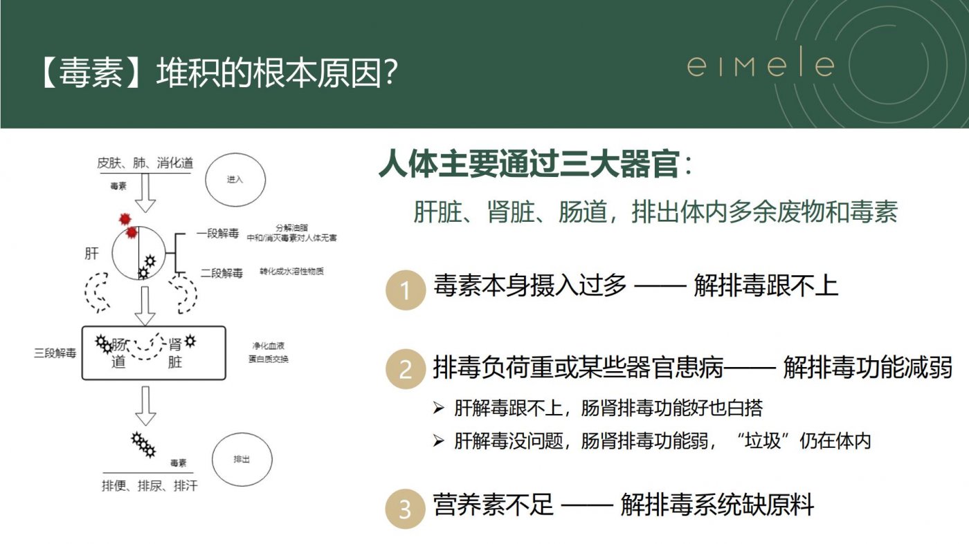 有哪些植物成分可以帮助身体排毒？-亦餐超级绿粉